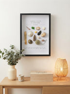 Cadre Coquillages & Trésors Échoués | Décoration Murale Bord de Mer