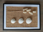 Tableau floral et coquillages