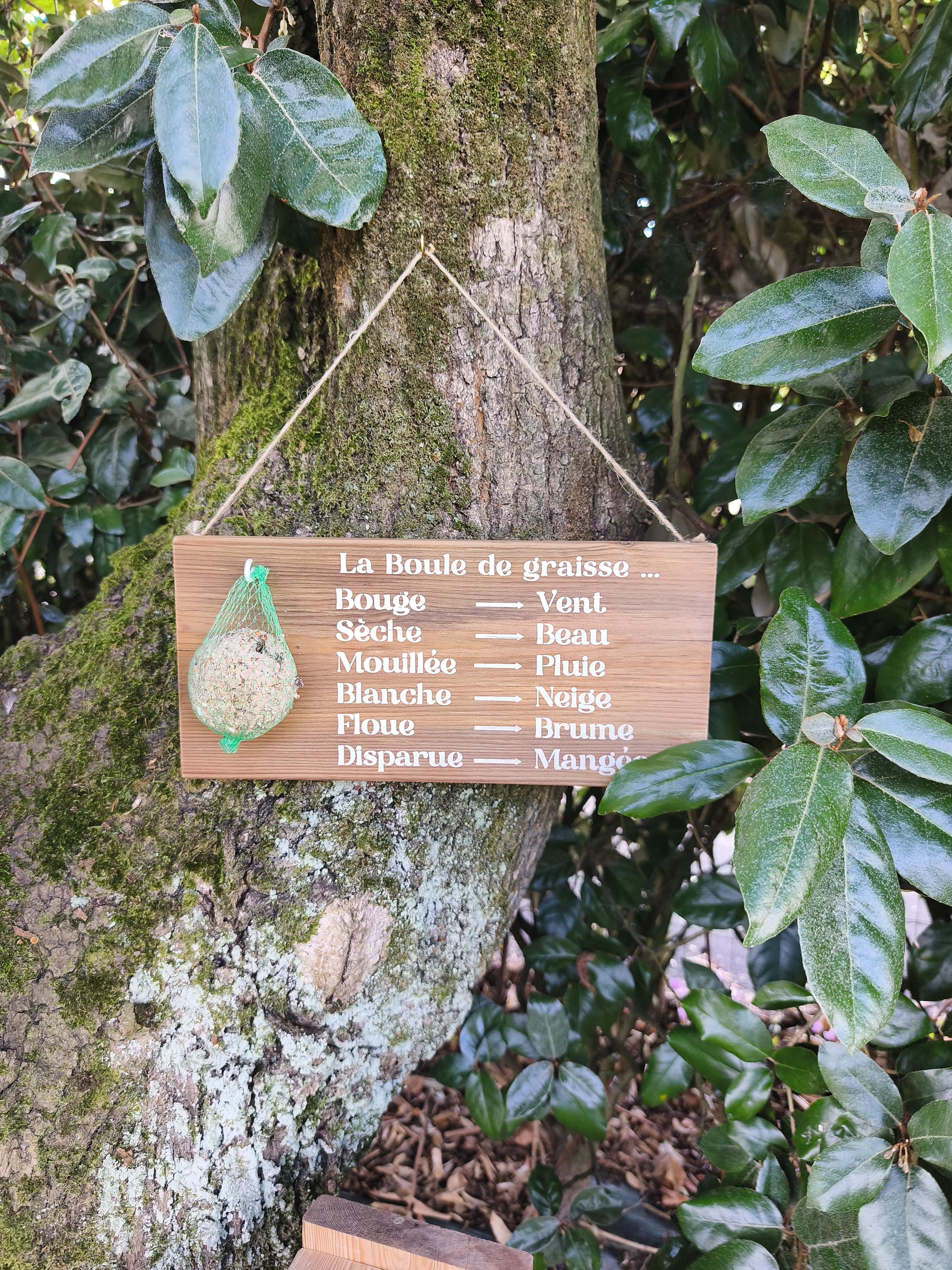 Mangeoire pour oiseaux - Baromètre humoristique