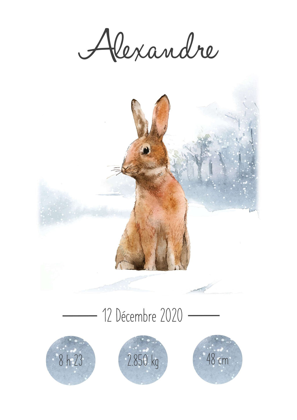 Affiche de naissance animaux hiver