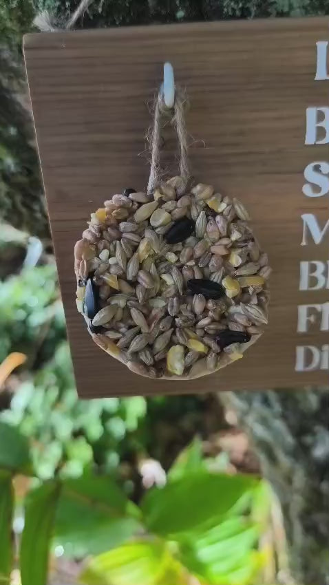 Mangeoire pour oiseaux - Baromètre humoristique